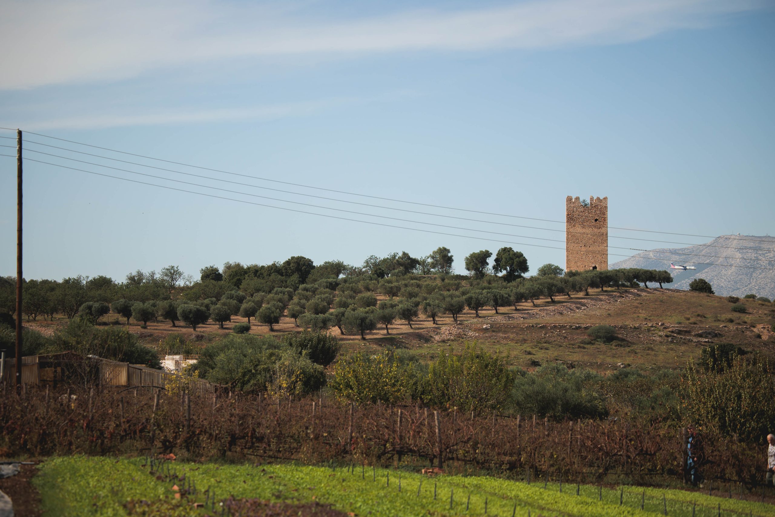 φάρμα-farm-zak-viemon-delta-restaurant